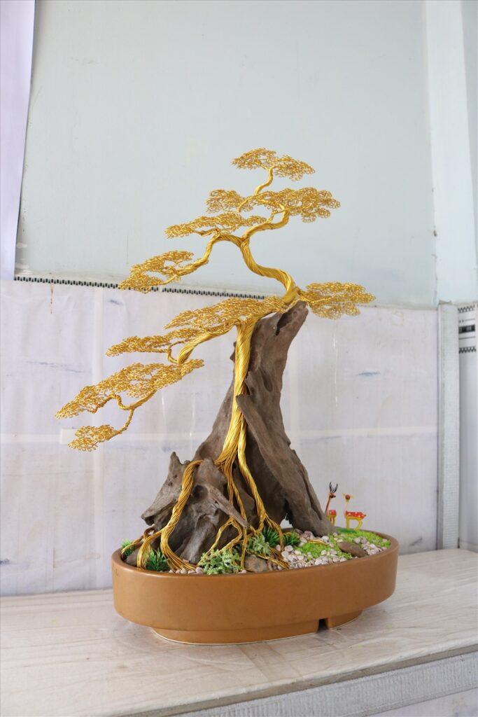 T Ng H P M U C Y Bonsai Handmade Ngh Thu T C O Du L Ch T Vi T