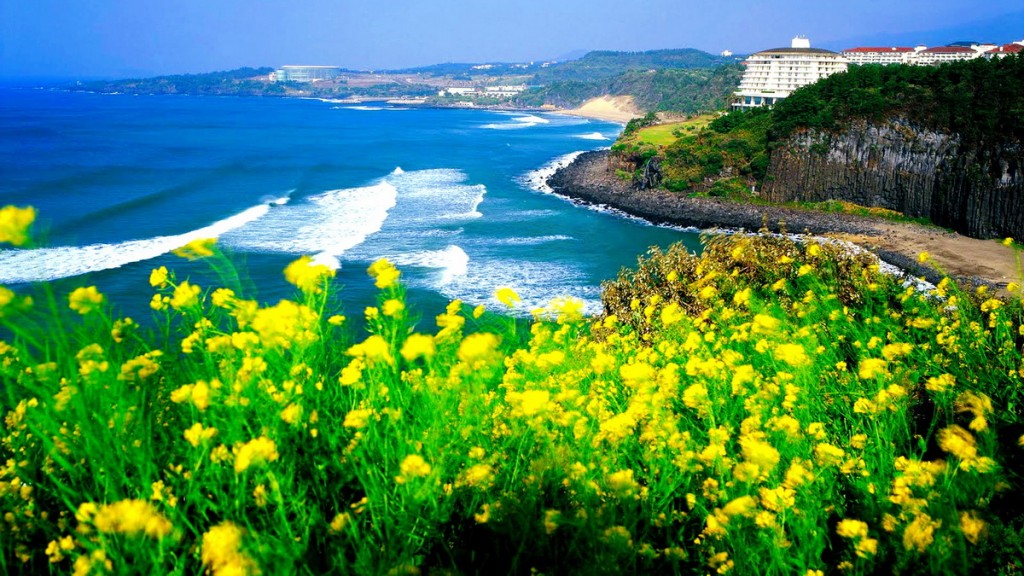 Thiên Đường Đảo Jeju  Hàn Quốc