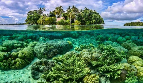 du ngoạn đảo san hô Coral Thái Lan