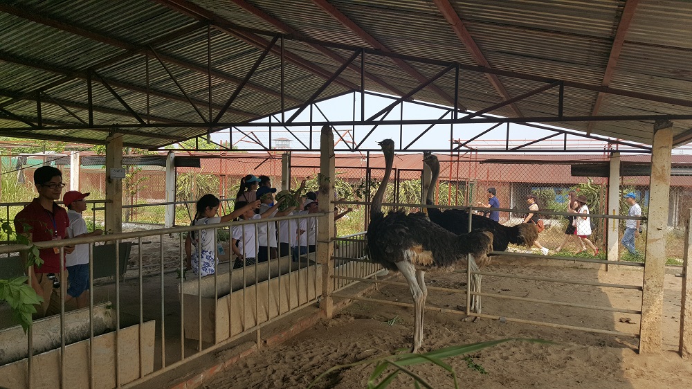 tour trải nghiệm trang trại detrang farm